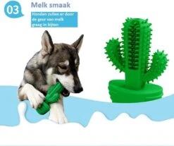 Tandenborstel + TANDPASTA Hond Melk Geur Smaak En Piep Honden Speelgoed - Cactus Dog Toy Tandverzorging Kauwbotten Hondenspeelgoed Hondenbot Kauwstaaf Tanden Puppy Hondenspeeltje Sterk Kauwspeelgoed - Dutchwide -Hondenartikelen Serie Winkel 1200x1008 7