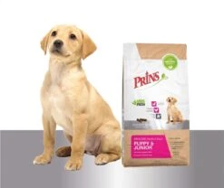 Prins Procare Puppy/Junior - 7.5 KG -Hondenartikelen Serie Winkel 1200x1009