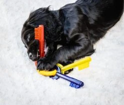 Nylabone Puppy Teething Key Flexible Geel&Blauw&Rood - Hondenspeelgoed - Wolf Tot 16kg -Hondenartikelen Serie Winkel 1200x1009 3