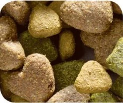 VERSELE-LAGA Happy Life Adult - Kip - Hondenvoer - 15 Kg 11 VERSELE-LAGA Happy Life Adult - Kip - Hondenvoer - 15 Kg -Hondenartikelen Serie Winkel 1200x1010 2