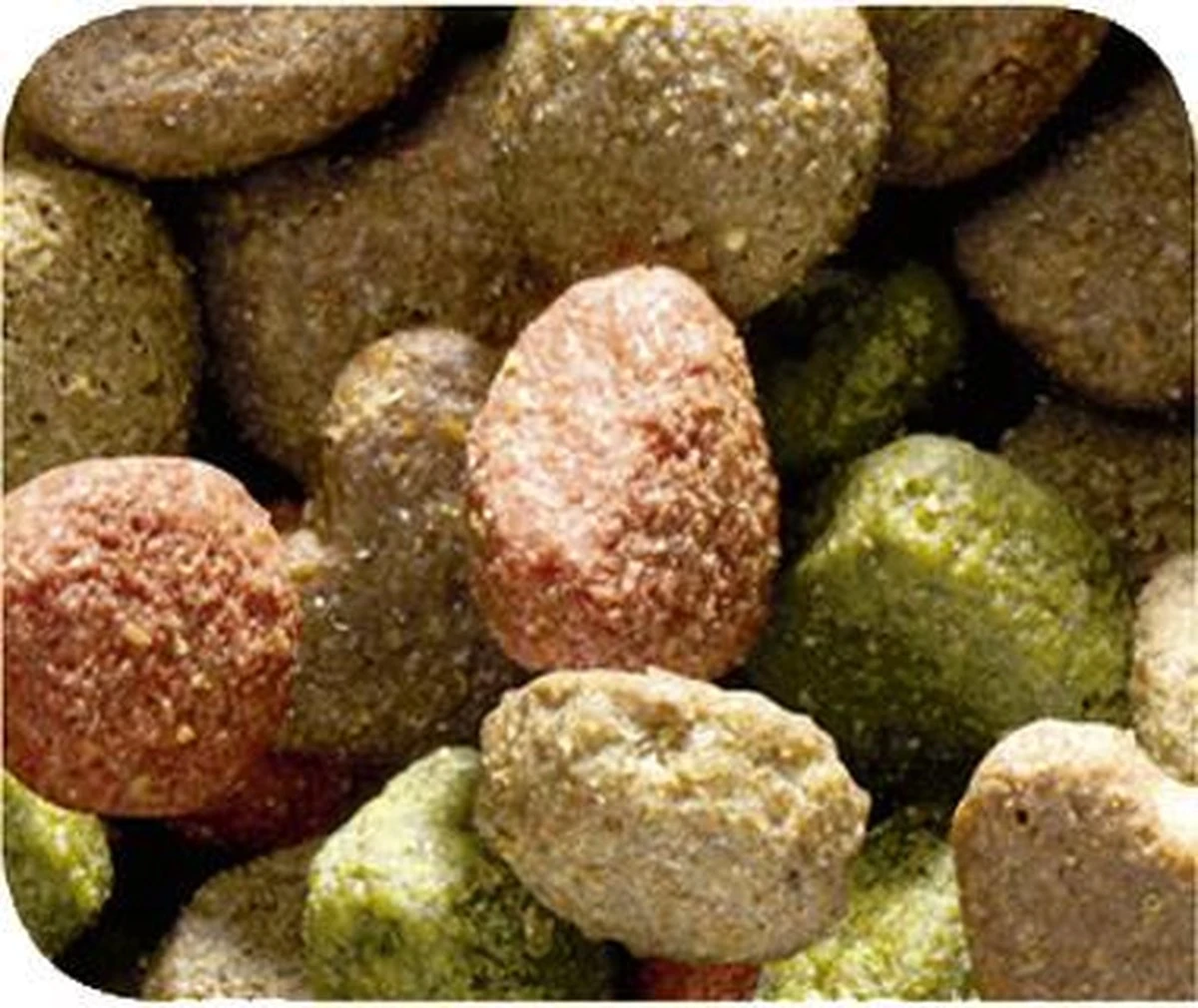 VERSELE-LAGA Happy Life Adult Lam Digestion - Hondenvoer - 15 Kg 7 VERSELE-LAGA Happy Life Adult Lam Digestion - Hondenvoer - 15 Kg - Afbeelding 5