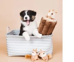 Zippy Paws - Petshop By Fringe Studio- Intelligentie Spel - Speelgoed Hond - Honden - Puzzel - Eekhoorn 9 Zippy Paws - Petshop By Fringe Studio- Intelligentie Spel - Speelgoed Hond - Honden - Puzzel - Eekhoorn -Hondenartikelen Serie Winkel 1200x1014 4