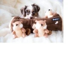 Zippy Paws - Petshop By Fringe Studio- Intelligentie Spel - Speelgoed Hond - Honden - Puzzel - Eekhoorn 10 Zippy Paws - Petshop By Fringe Studio- Intelligentie Spel - Speelgoed Hond - Honden - Puzzel - Eekhoorn -Hondenartikelen Serie Winkel 1200x1014 5