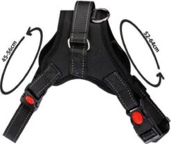 PetsPro Hondentuigje - Maat M - Anti Trek Honden Harnas - Honden Tuig - Tot 30 Kg - Nek Omvang: 45-56 Cm Borst Omvang: 52-64 Cm -Hondenartikelen Serie Winkel 1200x1016 4