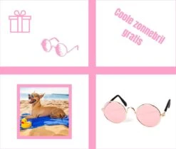 Pepets© – Hondenhanddoek – Honden Handdoek – Microvezel Handdoek – Handdoek Hond – Hondendeken – Droogdoek Hond – Dierendeken – Absorberend – 100*50CM - Beige - GRATIS Zonnebril -Hondenartikelen Serie Winkel 1200x1018 1