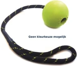 Satisfyer Happy Pet Floater Jumbo Bal - Aan Touw - Apporteren - 39 Cm -Hondenartikelen Serie Winkel 1200x1021 7