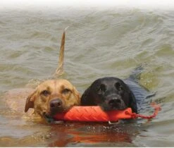 Kong Training Dummy - Hondenspeelgoed - Oranje - L - 27 Cm -Hondenartikelen Serie Winkel 1200x1022 5