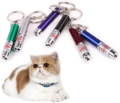 Katten Laser - Lampje Voor De Kat - 2 In 1 - Laser + Wit Lampje - Met Hanger - Katten / Honden Laserlamp - Mini - Sleutelhanger -Hondenartikelen Serie Winkel 1200x1023 4