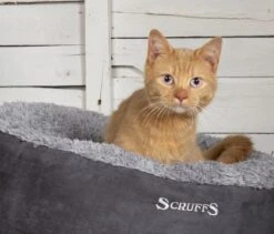 Scruffs Cosy Kattenmand - Comfortabel En Voordelig Met Zachte Binnenvoering En Imitatie Suède Buitenvoering - 3 Kleuren - Ø 45 Cm - Karamel -Hondenartikelen Serie Winkel 1200x1024 2