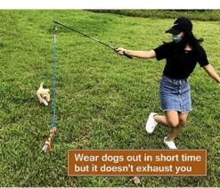 CF Pack - Hond Buitenspeelgoed Actief Behendigheid Touw Dog Flirt Pole Flirtpole Toy Tug Tease Wand Non-Bungee Cord Dog Toy For Fun Obedience Training Extandable Toy Honden Speelgoed Hondenspeelgoed Behendigheidspeelgoed -Hondenartikelen Serie Winkel 1200x1026 11