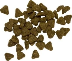 Pets Place Plus Hond Adult - Hondenvoer - Zalm - 12 Kg -Hondenartikelen Serie Winkel 1200x1026