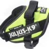 Julius K9 Julius-K9 IDC®Powertuig, XS - Mini-Mini, Neon -Hondenartikelen Serie Winkel 1200x1031 4
