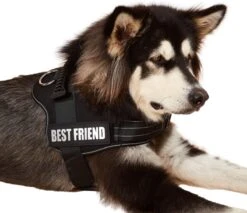 Woofy Hondentuig - Anti Trek - Hondenharnas - Reflecterend - Verstelbaar -Hondenartikelen Serie Winkel 1200x1034 6