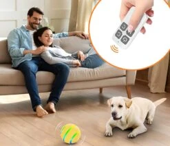 Good Experience Interactieve Hondenbal 3.0 – Honden Speelgoed Intelligentie – Puppy Speelgoed – Hondenspeeltjes – De Enige Die Werkt Met Afstandsbediening – De Veilige Bal Voor Jouw Hond – One Size – Oranje -Hondenartikelen Serie Winkel 1200x1034 7
