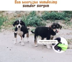 Dubbele Honden Riem – Leiband Hond – Hondenlijn – Looplijn Hond – 2 Honden – 3 Meter – Tot 12kg Per Hond – Reflecterende Lijnen – Met Zaklamp – 360° Draaien – Verstelbaar - Zwart -Hondenartikelen Serie Winkel 1200x1035 6