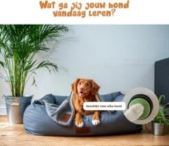 Praatknop Hond – Set Van 4 - Honden Speelgoed – Honden Training – Dogbuttons – Huisdier – Puppy Training - Hondenspeelgoed Intelligentie - Hond Opvoeden 18 Praatknop Hond – Set Van 4 - Honden Speelgoed – Honden Training – Dogbuttons – Huisdier – Puppy Training - Hondenspeelgoed Intelligentie - Hond Opvoeden -Hondenartikelen Serie Winkel 1200x1036 9