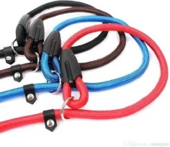 Merkloos Nylon Trainingslijn Voor Honden - Hondenriem - Blauw - Tot 5 Kg 11 Merkloos Nylon Trainingslijn Voor Honden - Hondenriem - Blauw - Tot 5 Kg -Hondenartikelen Serie Winkel 1200x1038 4