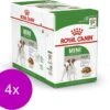 Royal Canin Shn Mini Adult Pouch - Hondenvoer - 4 X 12 X 85 G -Hondenartikelen Serie Winkel 1200x1042