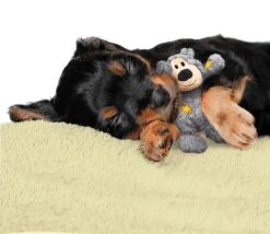 Kong Wild Knots Beer - Hondenspeelgoed - Assorti - M - 25 X 20 X 10 Cm -Hondenartikelen Serie Winkel 1200x1042 5