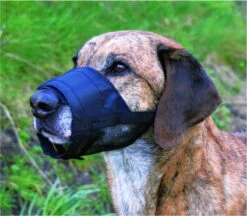 Trixie Muilkorf Polyester Met Gaas Inzet Zwart (M 19-26 CM) -Hondenartikelen Serie Winkel 1200x1047 3