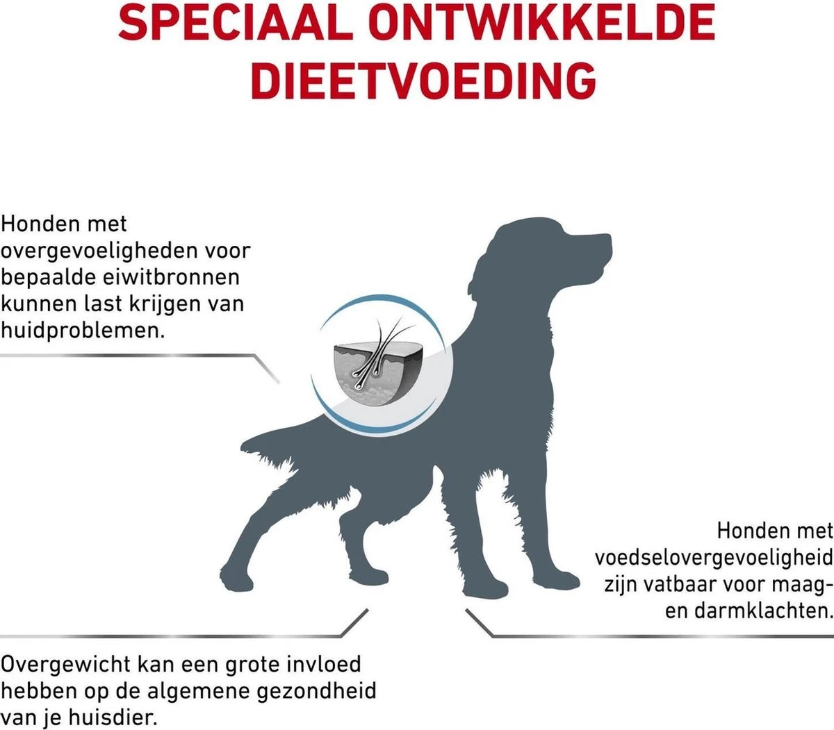 Royal Canin Hypoallergenic Moderate Calorie - Hondenvoer - 7 Kg 6 Royal Canin Hypoallergenic Moderate Calorie - Hondenvoer - 7 Kg - Afbeelding 4