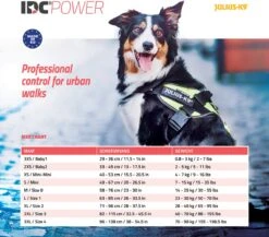 Julius K9 Julius-K9 IDC®Powertuig, 2XL - Maat 3, Zwart -Hondenartikelen Serie Winkel 1200x1053 16
