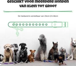 Anti Blafband Met Afstandsbediening - Blafband Voor Honden - Anti Blaf Apparaat Zonder Schok - Twee In Een Trainingshalsband -Hondenartikelen Serie Winkel 1200x1055 1