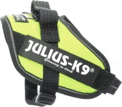 Julius K9 Julius-K9 IDC®Powertuig, XS - Mini-Mini, Neon -Hondenartikelen Serie Winkel 1200x1055 3