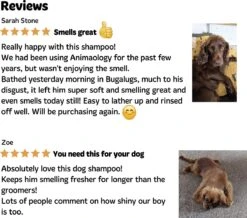 Bugalugs - Hondenshampoo - One In A Million - Alle Vachttypes - Fles Met Pompje - Vegan - 500 Ml -Hondenartikelen Serie Winkel 1200x1061 3