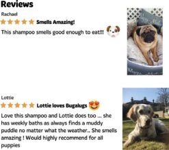 Bugalugs - Hondenshampoo - One In A Million - Alle Vachttypes - Fles Met Pompje - Vegan - 500 Ml -Hondenartikelen Serie Winkel 1200x1066 10