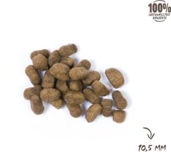 VITALstyle HUID+VACHT - Hondenbrokken - 12 Kg 15 VITALstyle HUID+VACHT - Hondenbrokken - 12 Kg -Hondenartikelen Serie Winkel 1200x1066