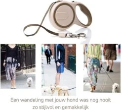 Hondenriem - Leiband Hond - Rollijn - 5 Meter - Beige - Riem Met Oprolsysteem - Hondenriem Flexi - Hondenlijn - Uitlaatriem 15 Hondenriem - Leiband Hond - Rollijn - 5 Meter - Beige - Riem Met Oprolsysteem - Hondenriem Flexi - Hondenlijn - Uitlaatriem -Hondenartikelen Serie Winkel 1200x1077 6