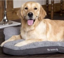 Scruffs Cosy - Comfortabel Hondenkussen In Grijs, Beige Of Karamel - Met Imitatie Suède Buitenvoering En Superzachte Binnenvoering - 100 X 70 Cm - Grijs 30 Scruffs Cosy - Comfortabel Hondenkussen In Grijs, Beige Of Karamel - Met Imitatie Suède Buitenvoering En Superzachte Binnenvoering - 100 X 70 Cm - Grijs -Hondenartikelen Serie Winkel 1200x1080 1