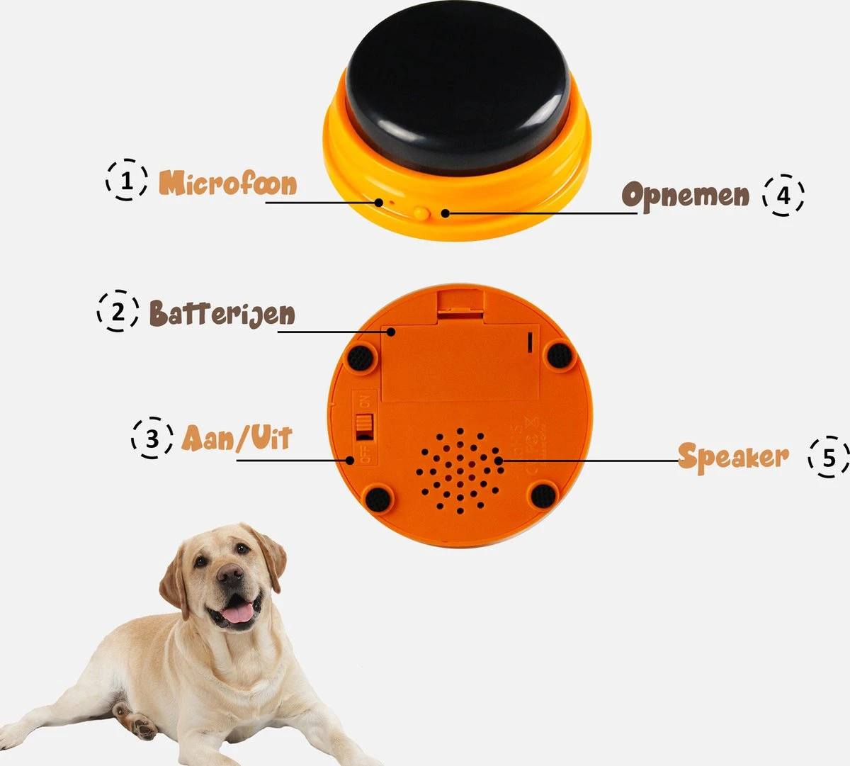 Praatknop Hond – Set Van 4 - Honden Speelgoed – Honden Training – Dogbuttons – Huisdier – Puppy Training - Hondenspeelgoed Intelligentie - Hond Opvoeden 12 Praatknop Hond – Set Van 4 - Honden Speelgoed – Honden Training – Dogbuttons – Huisdier – Puppy Training - Hondenspeelgoed Intelligentie - Hond Opvoeden - Afbeelding 10