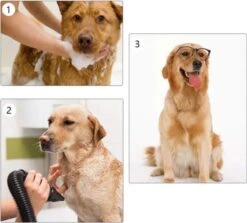 Waterblazer Hond - Hondendroger -Hondenartikelen Serie Winkel 1200x1083 2