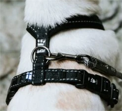 Hurtta Padded Tuig Y-Model Zwart - Hondenharnas - 60 Cm -Hondenartikelen Serie Winkel 1200x1086 2