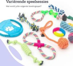 All 4 Pets Supply® Honden Speelgoed Set Geschikt Voor Puppy's T/m Middelgrote Honden - 12 Stuks - Hondenspeeltjes - Intelligentie - Touw - Flostouw - Bijtring - Bal 18 All 4 Pets Supply® Honden Speelgoed Set Geschikt Voor Puppy's T/m Middelgrote Honden - 12 Stuks - Hondenspeeltjes - Intelligentie - Touw - Flostouw - Bijtring - Bal -Hondenartikelen Serie Winkel 1200x1086 6
