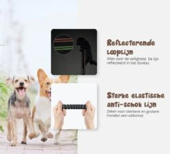 Hardloopriem Hond – Honden Riem Handsfree – Hardlopen Met Hond – 160-260 Cm Blauw - Hardloopband Hond – Halsband Hond – Hondenlijn – Leiband Hond -Hondenartikelen Serie Winkel 1200x1087 12