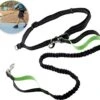 Hardloopriem Hond – Honden Riem Handsfree – Hardlopen Met Hond – 160-260 Cm Groen- Hardloopband Hond – Halsband Hond – Hondenlijn – Leiband Hond 1 Hardloopriem Hond – Honden Riem Handsfree – Hardlopen Met Hond – 160-260 Cm Groen- Hardloopband Hond – Halsband Hond – Hondenlijn – Leiband Hond -Hondenartikelen Serie Winkel 1200x1087 13