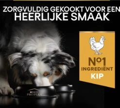 Pro Plan Medium Adult Everyay Nutrition - Honden Droogvoer - Kip - 14 Kg -Hondenartikelen Serie Winkel 1200x1087