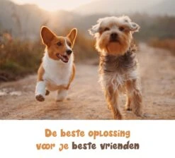 Dubbele Honden Riem – Leiband Hond – Hondenlijn – Looplijn Hond – 2 Honden – 3 Meter – Tot 12kg Per Hond – Reflecterende Lijnen – Met Zaklamp – 360° Draaien – Verstelbaar - Navy Blauw -Hondenartikelen Serie Winkel 1200x1087 8