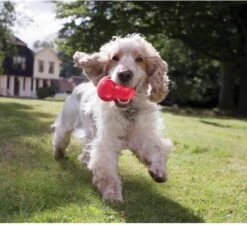 Kong Kauwbot - Hondenspeelgoed - Rood - M -Hondenartikelen Serie Winkel 1200x1092 5