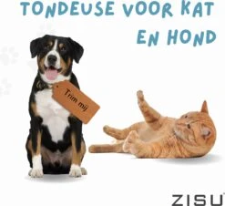 Hondentondeuse - Hondentrimmer - Dieren Tondeuse - Draadloos - 4 Opzetkammen - INCLUSIEF SNACKJE - Zwart -Hondenartikelen Serie Winkel 1200x1098