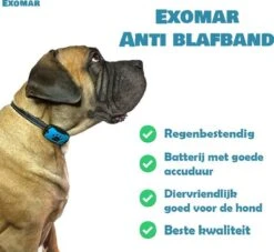 Exomar® Anti Blafband Voor Honden Blafband Anti Blaf Apparaat Blafband Zonder Schok - Diervriendelijk -Hondenartikelen Serie Winkel 1200x1101 8