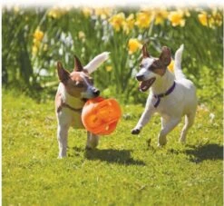 Kong Jumbler Ball - Assorti - M/L - Hondenspeelgoed - Ø14 Cm 15 Kong Jumbler Ball - Assorti - M/L - Hondenspeelgoed - Ø14 Cm -Hondenartikelen Serie Winkel 1200x1102 12