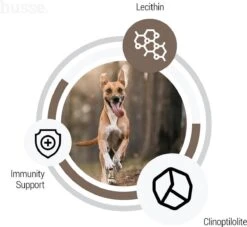 Husse Lam En Rijst - Hypoallergene Hondenbrokken - Hondenvoer - 2 Kg -Hondenartikelen Serie Winkel 1200x1104