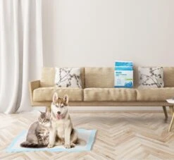 Nobleza 48DHD - Puppy Training Pads - 60 X 40 Cm - Zindelijkheidstraining - 50 Stuks -Hondenartikelen Serie Winkel 1200x1105 4