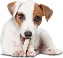 Nylabone Harde Bijters Kluif - Kip - Voor Honden Tot 20 Kg -Hondenartikelen Serie Winkel 1200x1107 10