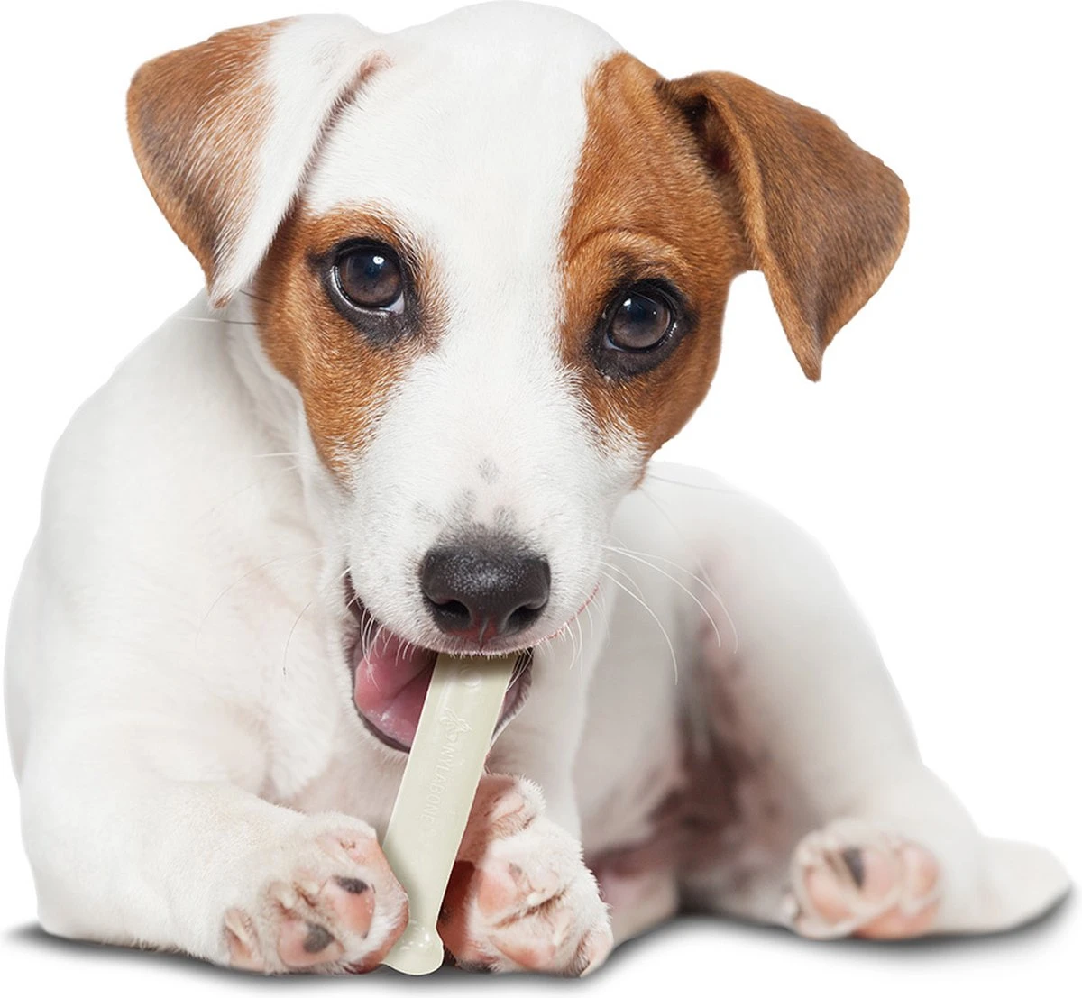 Nylabone Harde Bijters Kluif - Kip - Voor Honden Tot 30 Kg 7 Nylabone Harde Bijters Kluif - Kip - Voor Honden Tot 30 Kg - Afbeelding 5