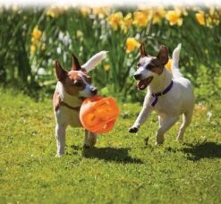 Kong Jumbler Ball - Assorti Hondenspeelgoed - L/XL - Ø18 Cm -Hondenartikelen Serie Winkel 1200x1108 4